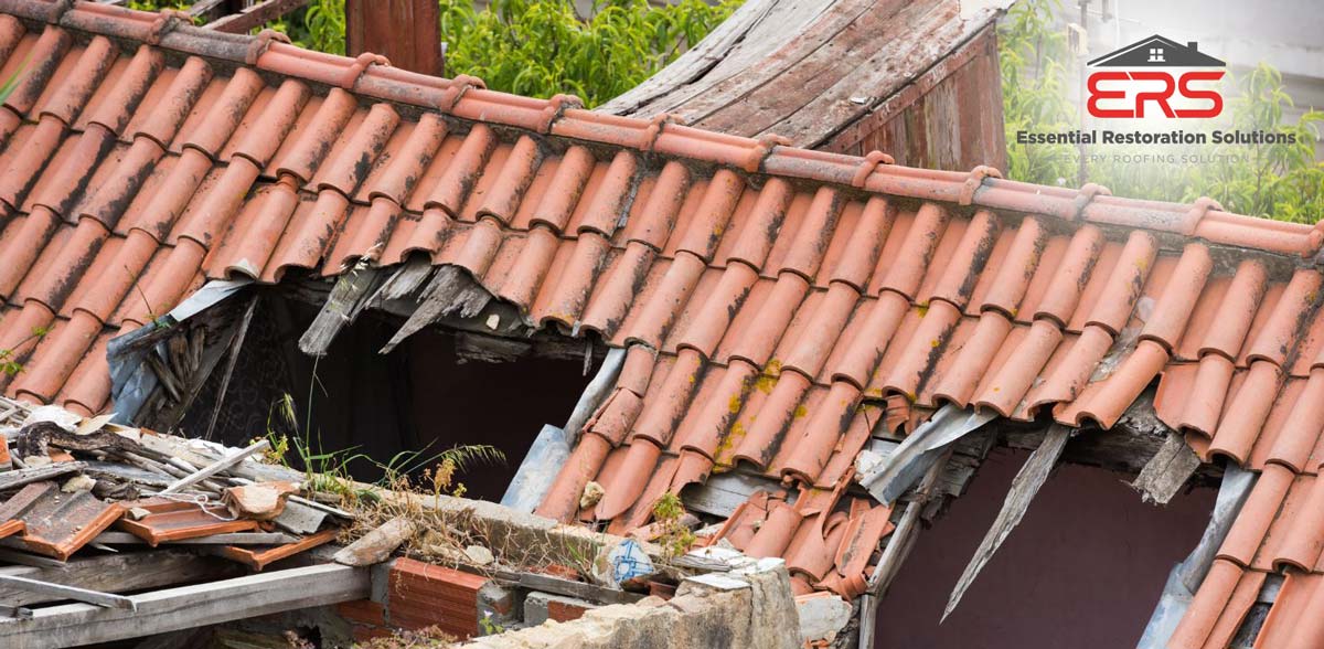 Navigating Storm Damage