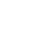 Emergency Roof Repair