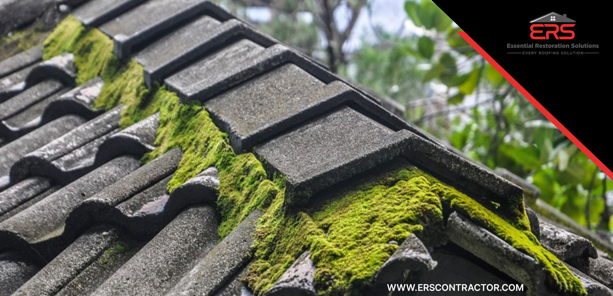 Essential Restoration Solutions