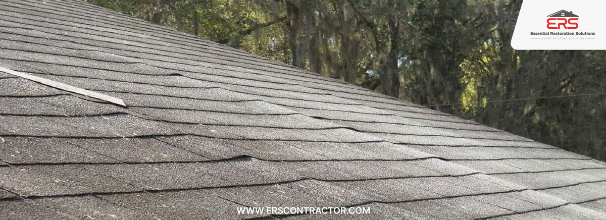 Roof Maintenance VS. Replacement
