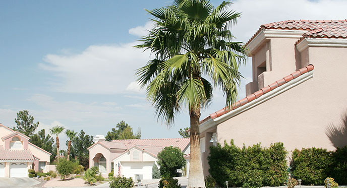 Roofing-Services-in-Trinity