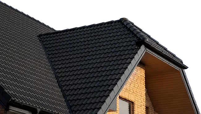 home-roof-vector